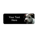 Search for pitbulls return address labels Terrier