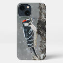 Search for woodpecker iphone cases Bird