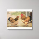 Search for brahma art Poultry