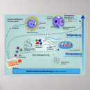 Search for method art Diagram