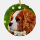 Search for cavalier king charles spaniel christmas tree decorations Pet