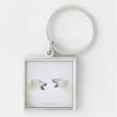 Search for anger key rings Animal