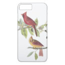 Search for cardinals iphone cases Tree