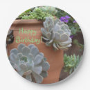 Search for southwest birthday Plants