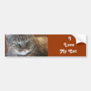Search for i love cats bumper stickers Feline
