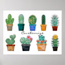 Search for cactus plant posters Potted plants