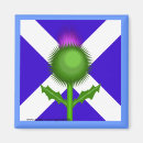 Search for scottish magnets Europe