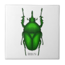 Search for bugs tiles Beetles