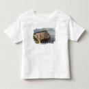 Search for capo tshirts Coastline