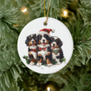 Search for bernese mountain dog christmas tree decorations Puppy