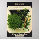 Search for vintage herb posters Retro