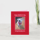 Search for hilarious valentines day cards For her