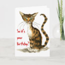 Search for tabby cat birthday cards Kitten