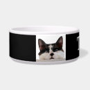 Search for tuxedo cat gifts Animal