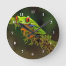 Search for frog clocks Amphibian