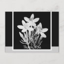 Search for black lines postcards Minimal