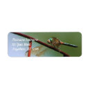 Search for fences return address labels For her