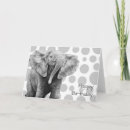 Search for african elephants birthday cards Wildlife