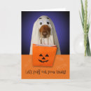Search for golden retriever halloween cards Ghost