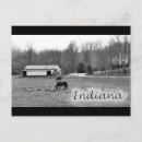 Search for rural postcards Horse