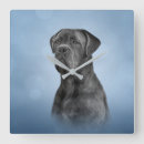 Search for italian clocks Animals