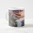 Search for coastline mugs Acadia national park