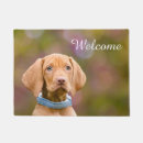 Search for magyar Puppy