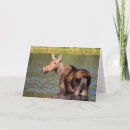 Search for chuck haney cards Danita delimont