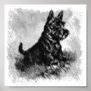 Search for scotty posters Scottie