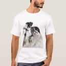 Search for iggy clothing Iggies