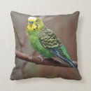 Search for parakeet cushions Green