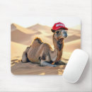 Search for camel desert electronics Dromedary