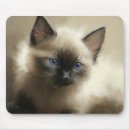 Search for innocence mouse mats Kitten