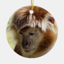 Search for cute monkeys christmas tree decorations Animals