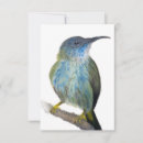 Search for unique bird cards Blue