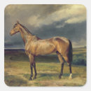 Search for chestnut horse stickers Brown