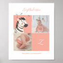 Search for zebra monogram posters Alphabet
