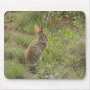 Search for charming mouse mats Rabbit