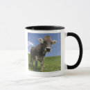 Search for bavarian mugs Nature