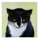Search for tuxedo cat posters Cute