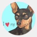 Search for minpin stickers Zwergpinscher