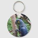 Search for hyacinth key rings Nature