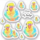 Search for budgerigar electronics Budgie