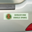 Search for cavalier king charles bumper stickers Animal