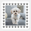 Search for dog photos stickers For kids