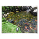 Search for koi fish pond painting posters Water