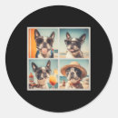 Search for boston terrier dog stickers Funny