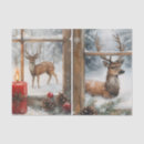 Search for window pane Window panes