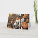 Search for dog halloween cards Pumpkins