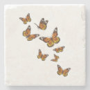Search for butterfly lovers coasters Butterflies